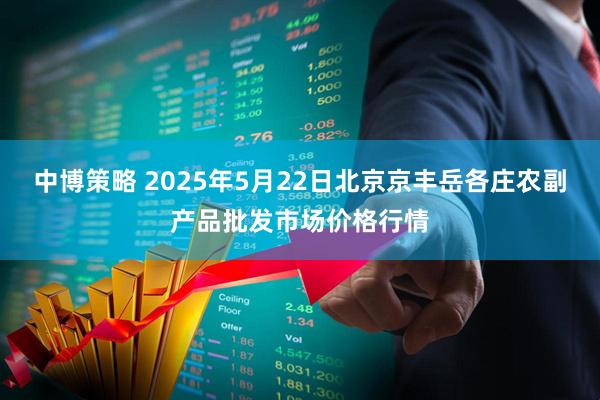 中博策略 2025年5月22日北京京丰岳各庄农副产品批发市场价格行情