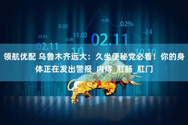 领航优配 乌鲁木齐远大：久坐便秘党必看！你的身体正在发出警报_内痔_肛肠_肛门