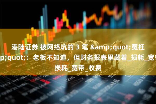 港陆证券 被网络坑的 3 笔 &quot;冤枉钱&quot;：老板不知道，但财务报表里藏着_损耗_宽带_收费