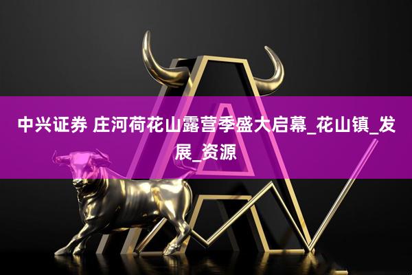 中兴证券 庄河荷花山露营季盛大启幕_花山镇_发展_资源