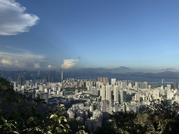 鑫旺资管 直击深圳楼市新政首日：罗湖盘降价百万抢客，买家早上6点约看房，从业者称利率仍有下调空间
