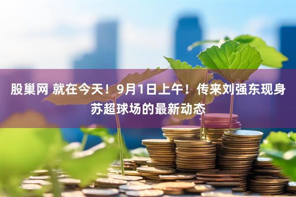 股巢网 就在今天！9月1日上午！传来刘强东现身苏超球场的最新动态