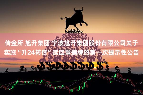 传金所 旭升集团 宁波旭升集团股份有限公司关于实施“升24转债”赎回暨摘牌的第一次提示性公告