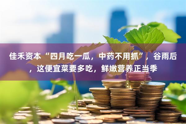 佳禾资本 “四月吃一瓜，中药不用抓”，谷雨后，这便宜菜要多吃，鲜嫩营养正当季